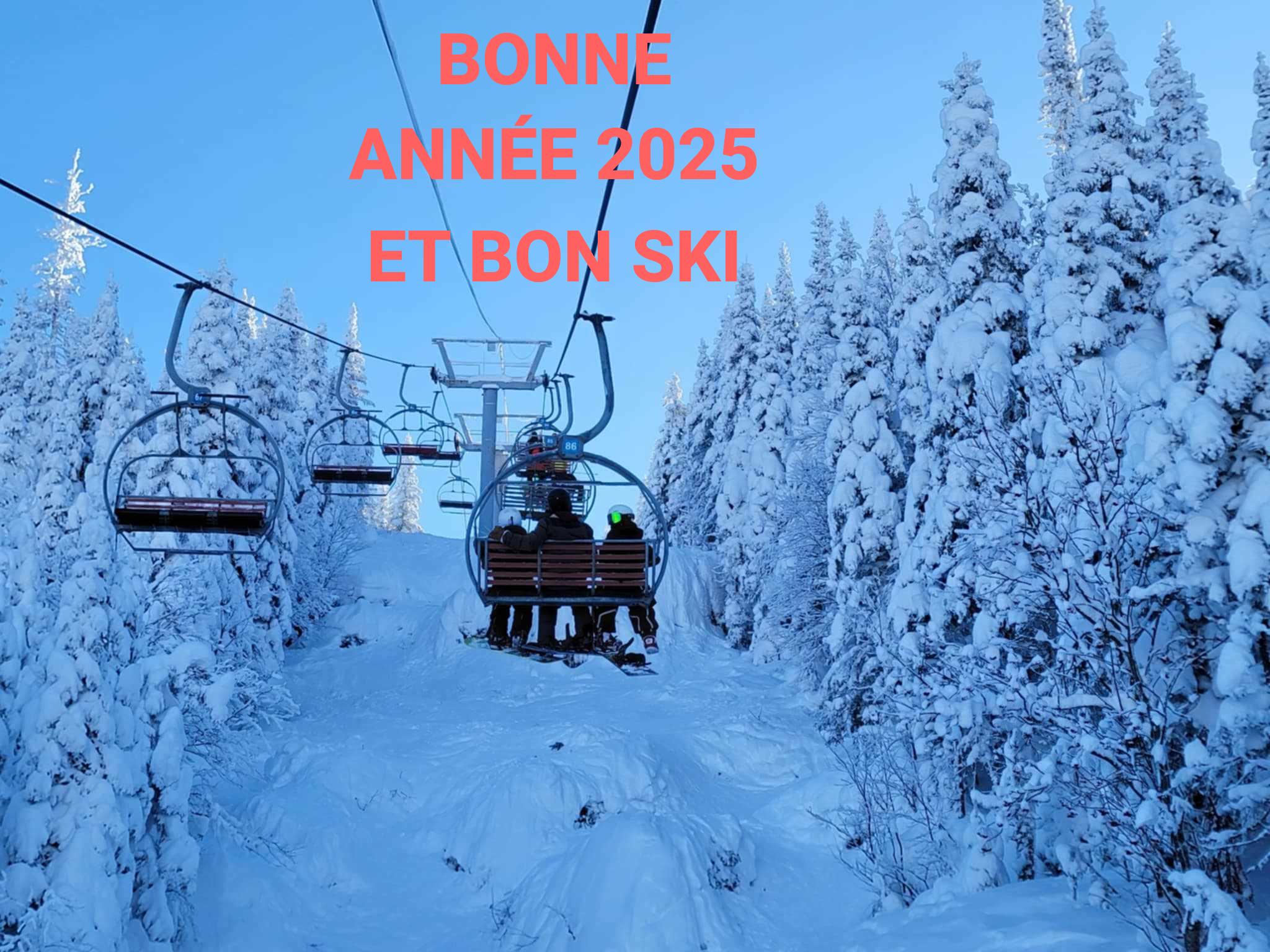 Bonne année 2025